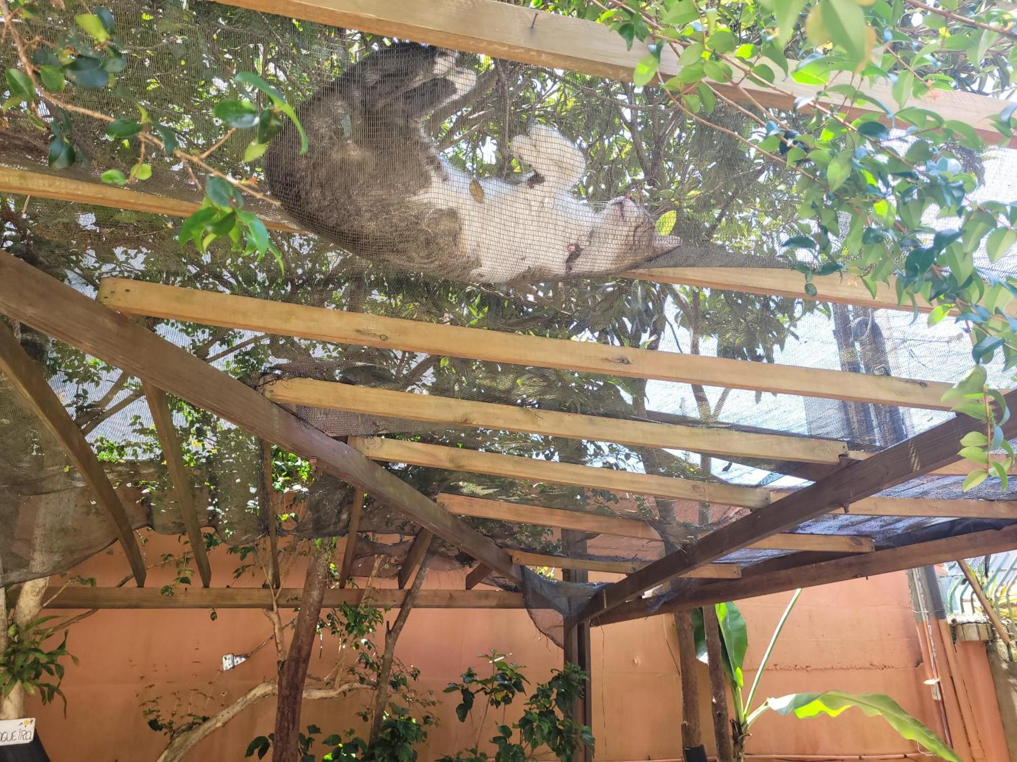 Recanto Dos Bambus Pousada Florianópolis Zewnętrze zdjęcie